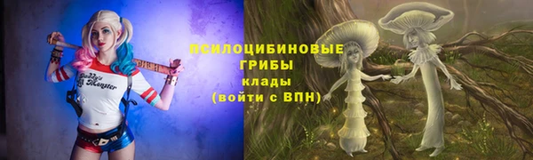 амф Абаза