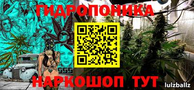 гидропоника Кунгур