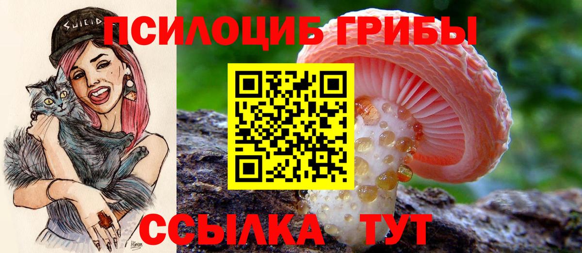 Галлюциногенные грибы прущие грибы  Галлюциногенные грибы Magic Shrooms  Азов  Вход с VPN 